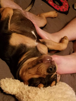 20190823_205715.jpg