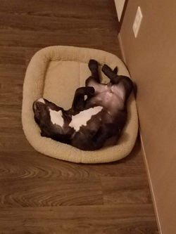 20190614_102244.jpg