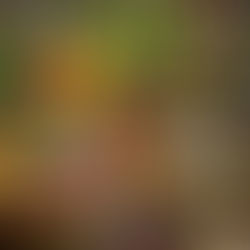 The Brain-Gut Connection: Balance Your Happiness