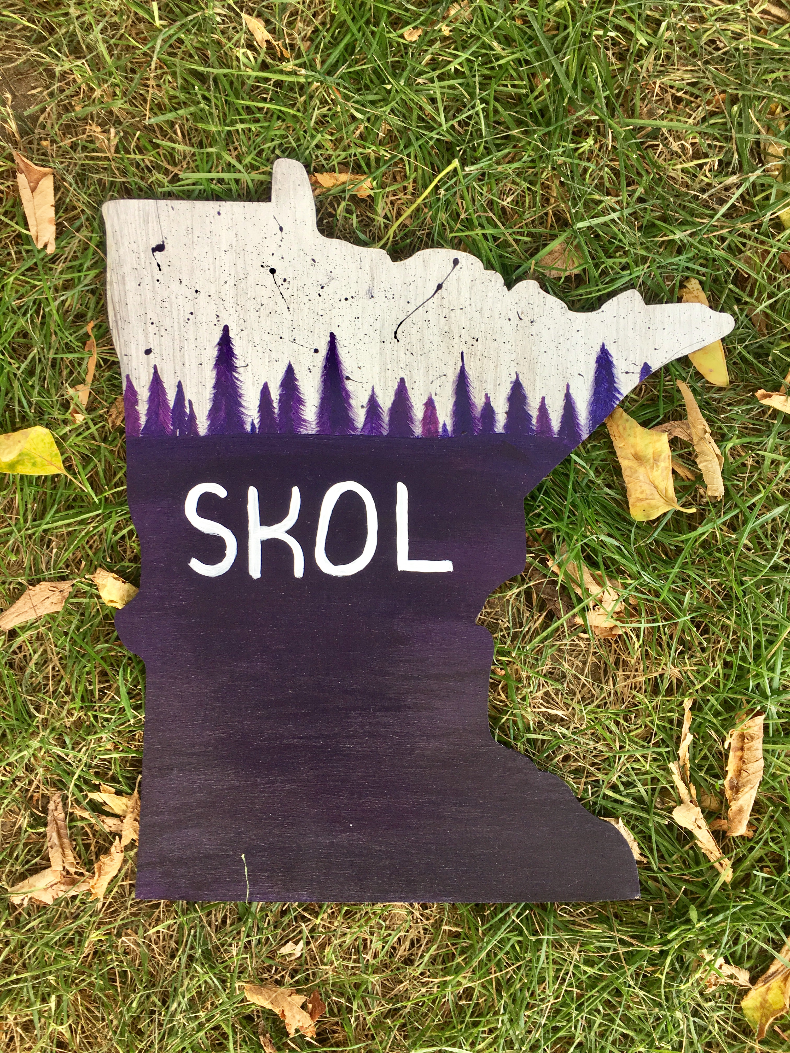 Skol Vikings