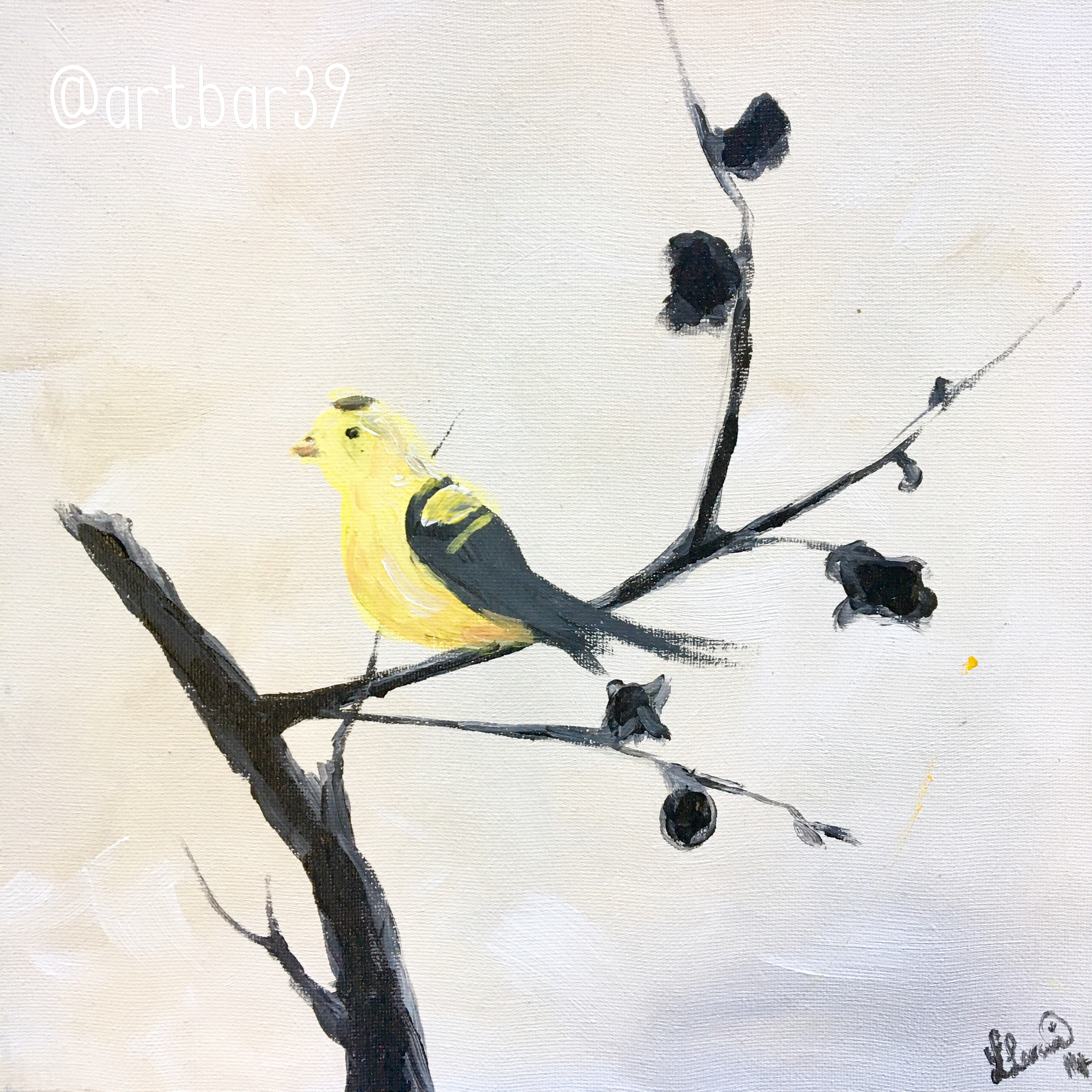 Yellow Bird