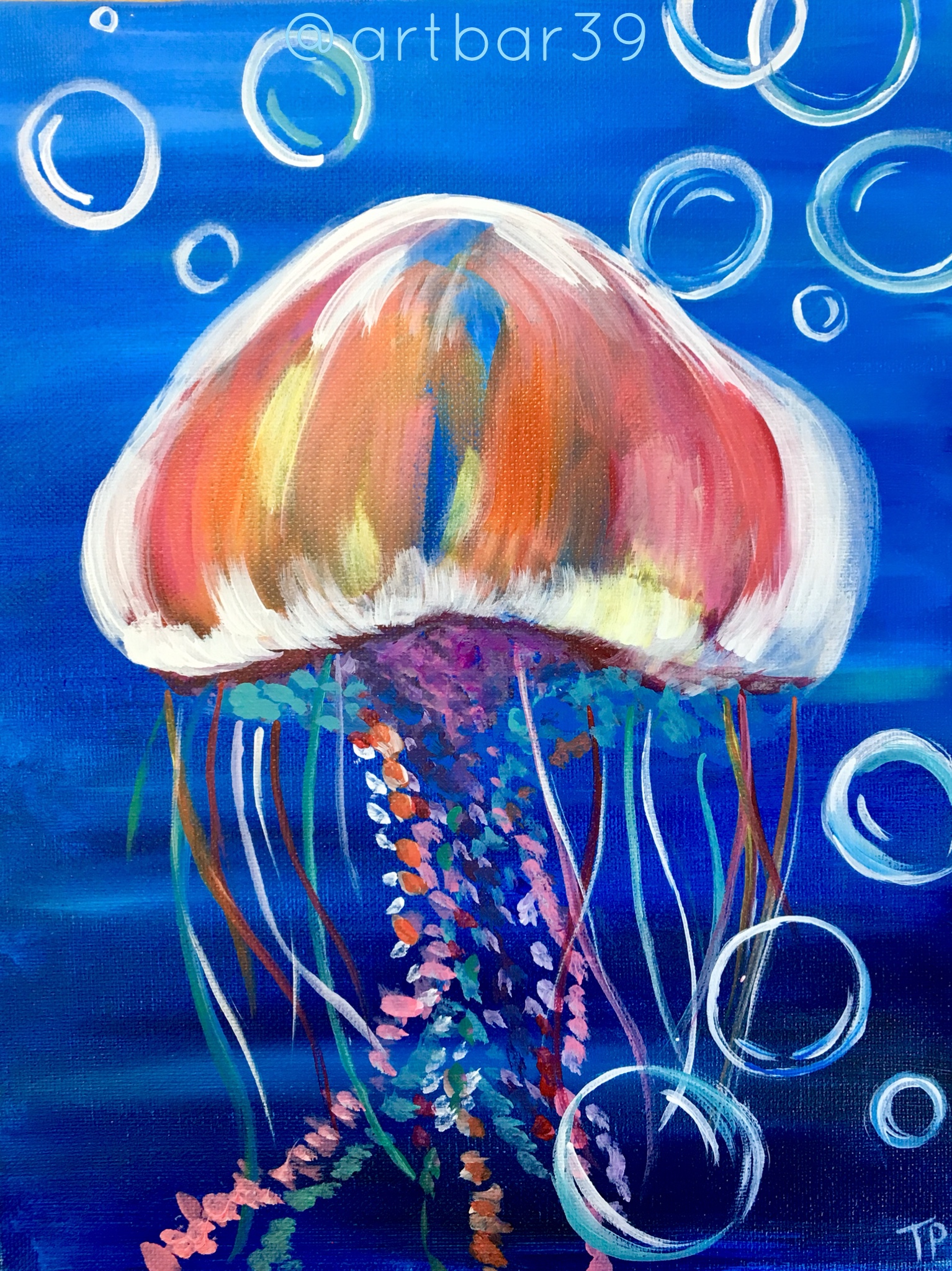 Jellyfish
