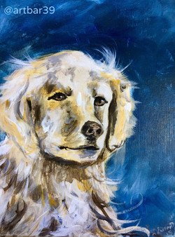 Paint Your Pet Example