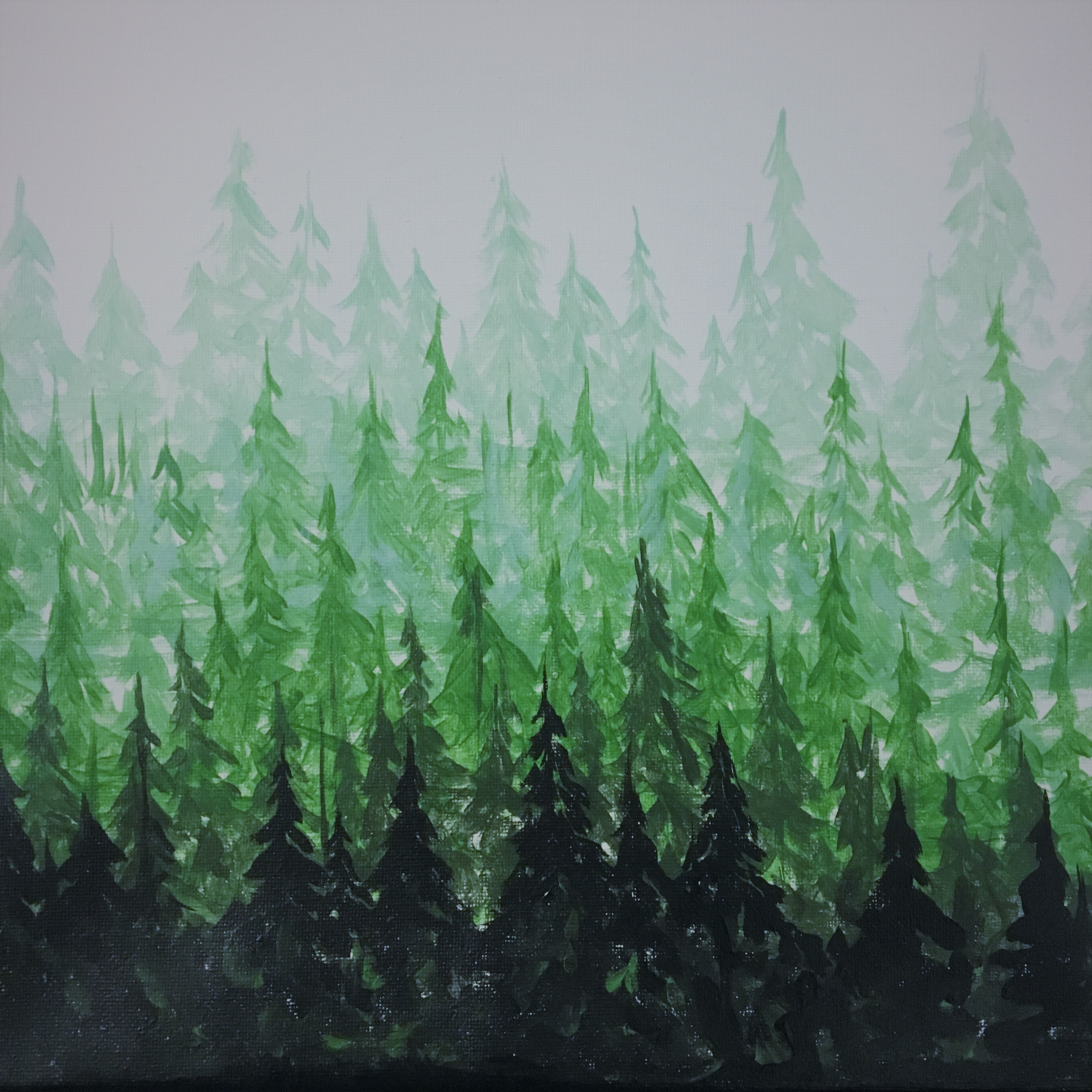 True North Evergreens