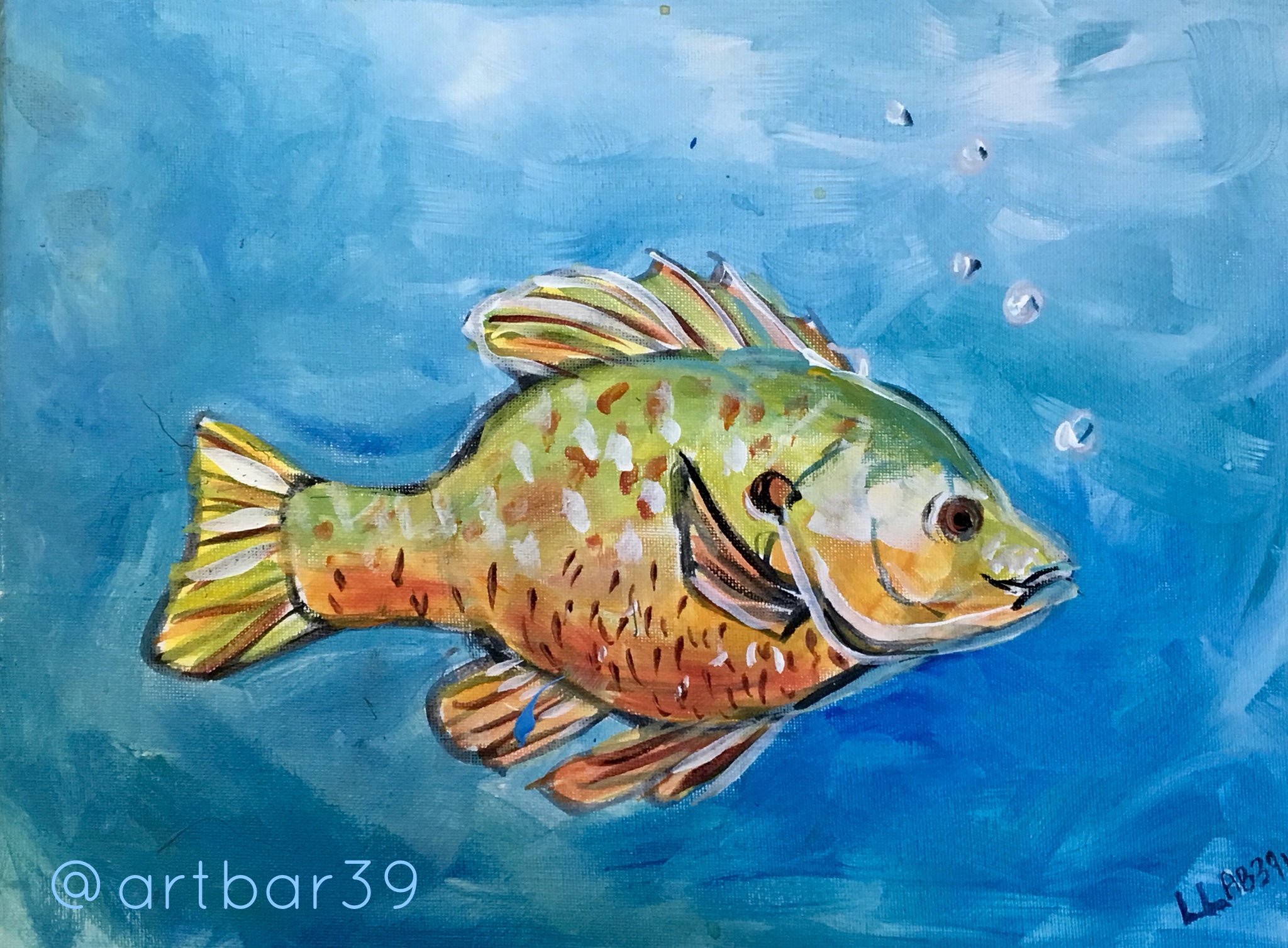 Sunfish