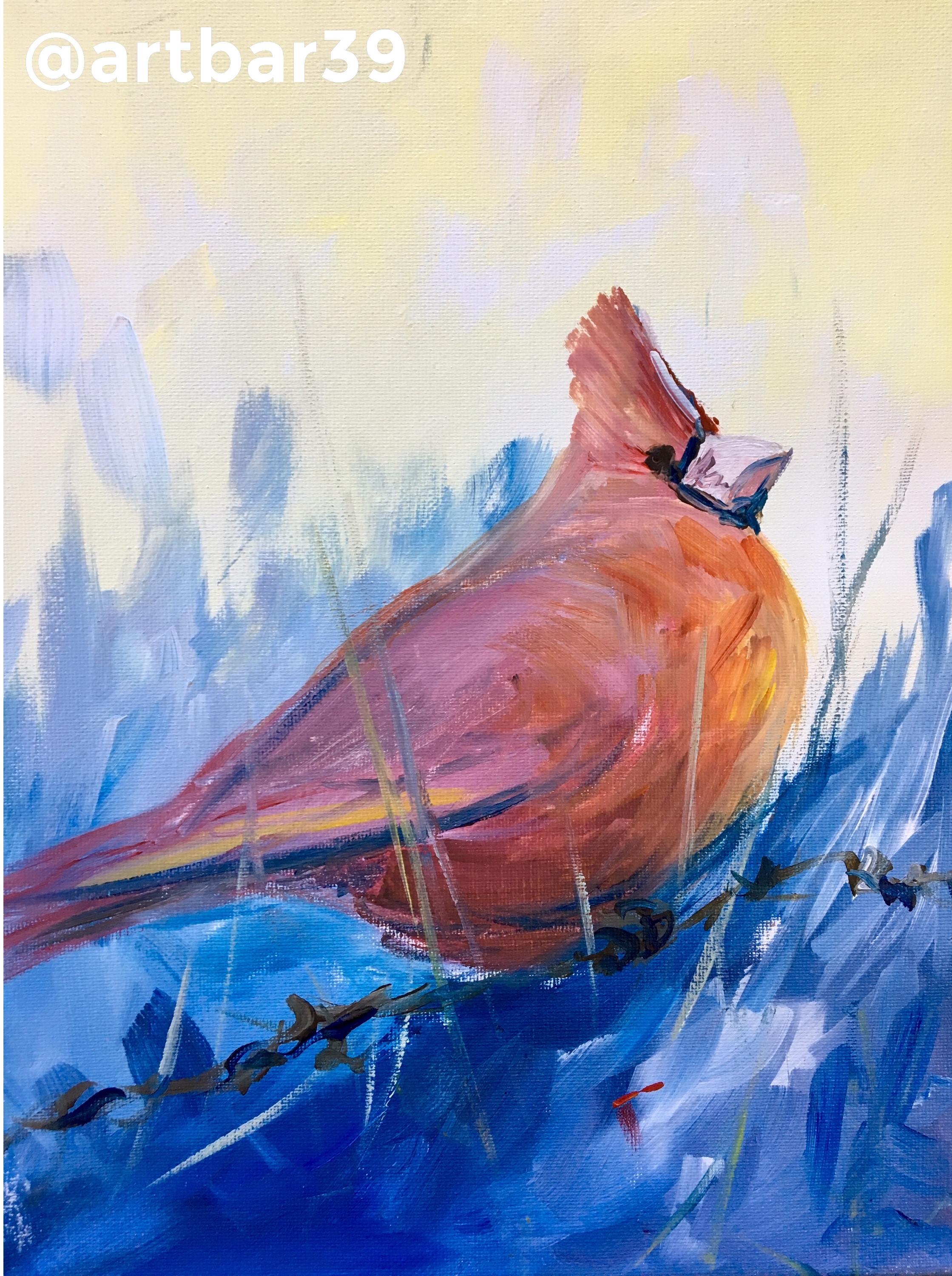 Cardinal