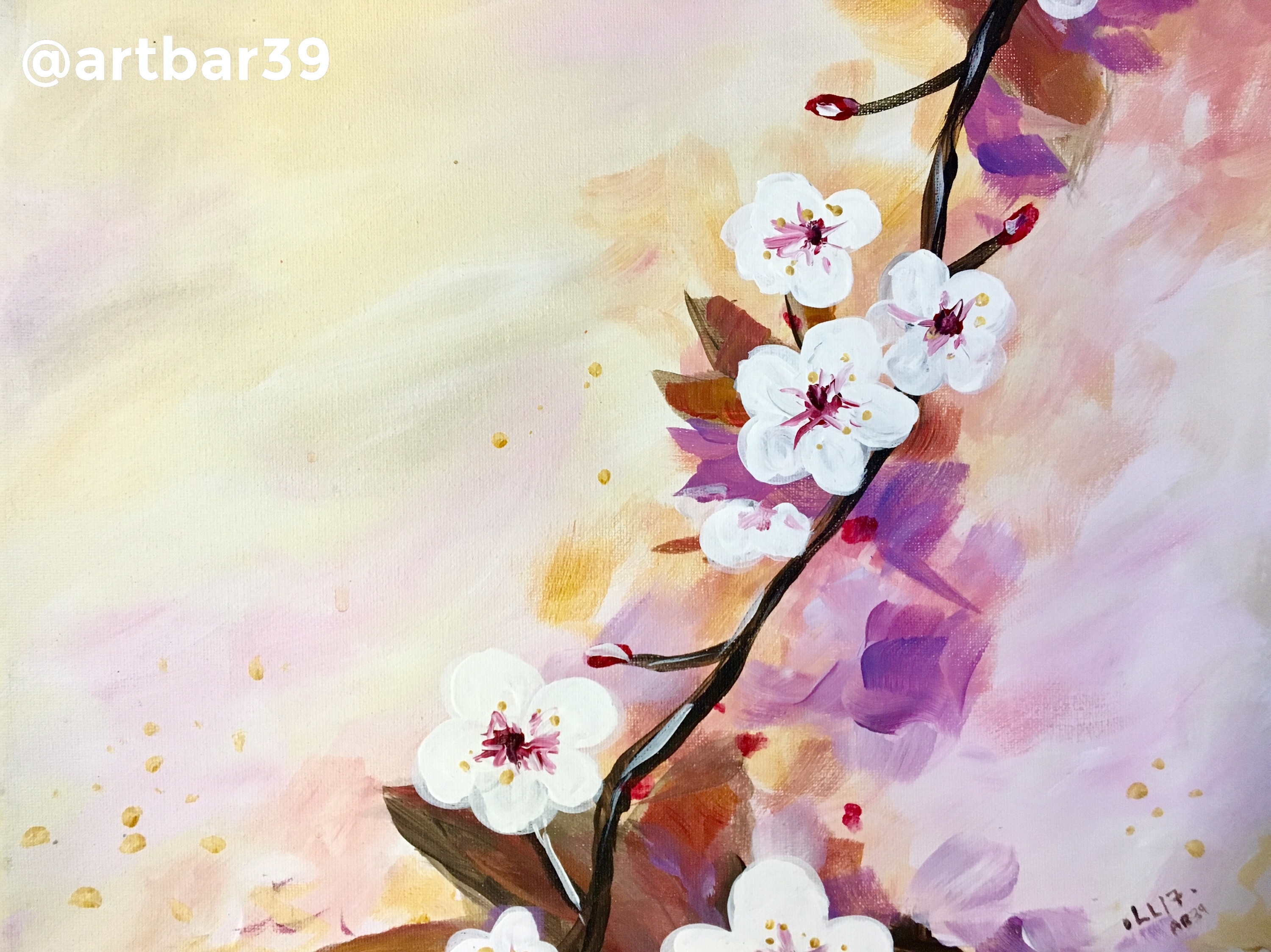 Cherry Blossoms