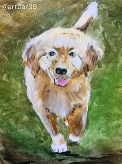 Paint Your Pet Example