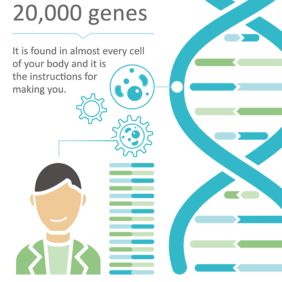GENOMICSENGLAND_BITNER_ITEM02.gif