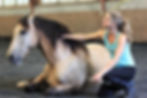 Dressage en liberté