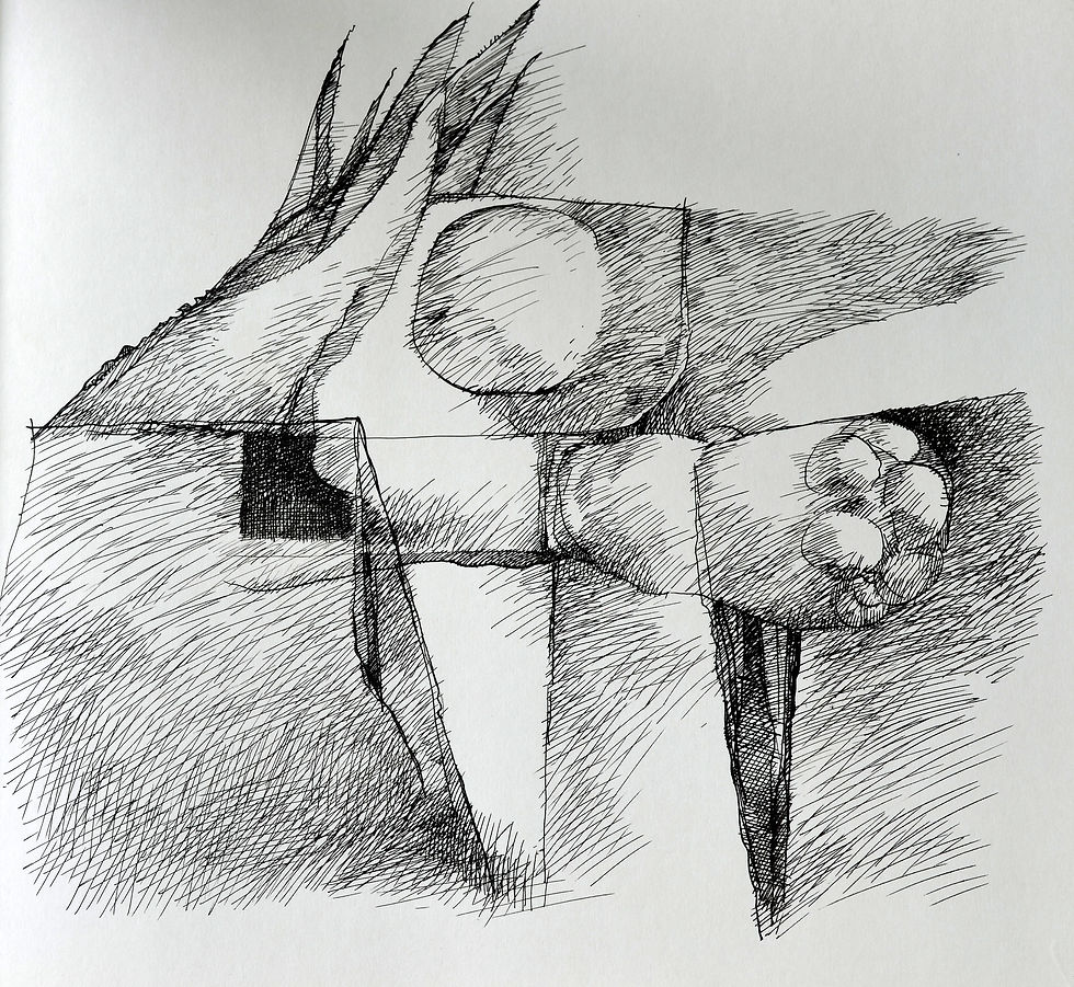 quimeras 12