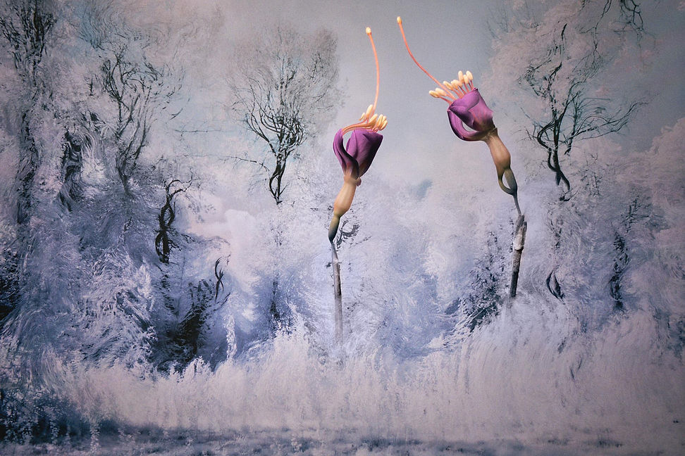 Dancing Flowers | Series: Lost landscapes #95 | 2021.jpg