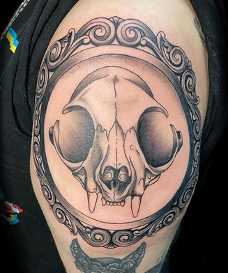 Photo Dec 10 2024, 5 54 48 PM (1).jpg