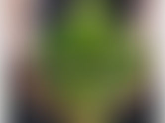 Aagje maakt: Löwenzahn-spaghetti