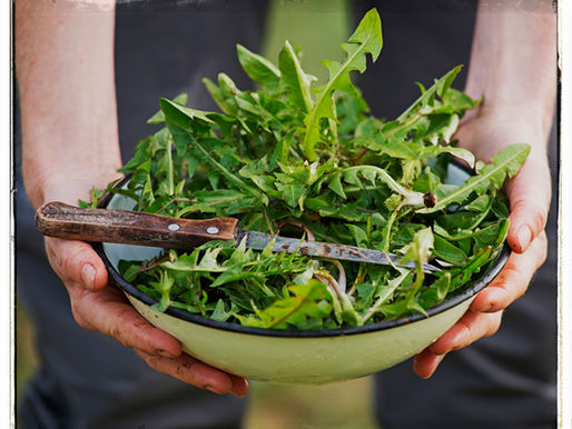 Aagje maakt: Löwenzahn-spaghetti