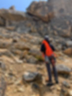 Surveying our options