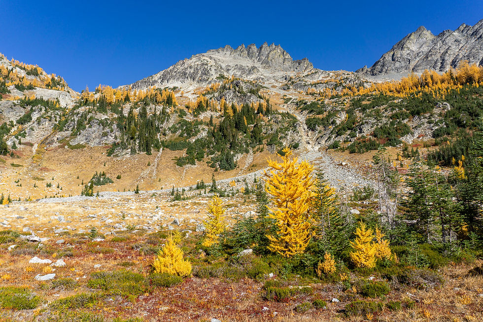 View back up to Seven Fingered Jack