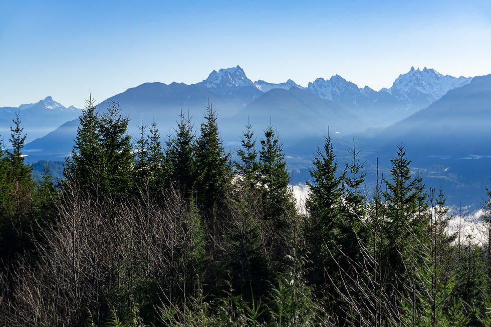 First views of White Chuck, Whitehorse, and Three Fingers