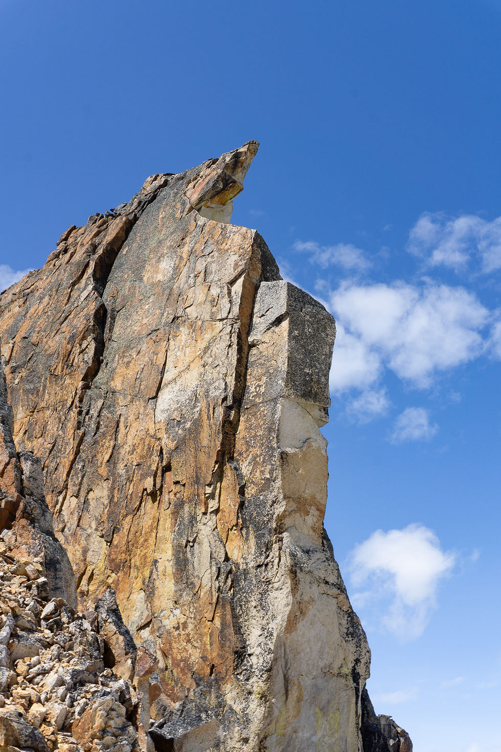 Cool diving board feature