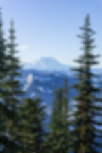 Snow-capped mountain in the background with tall evergreen trees in the foreground. Clear blue sky creates a serene, wintery scene.