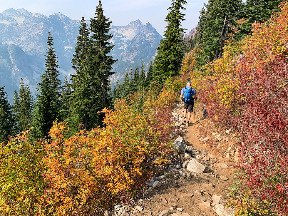 Fall colors on the hike out