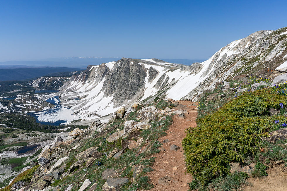 Typical trail high up on Medicine Bow