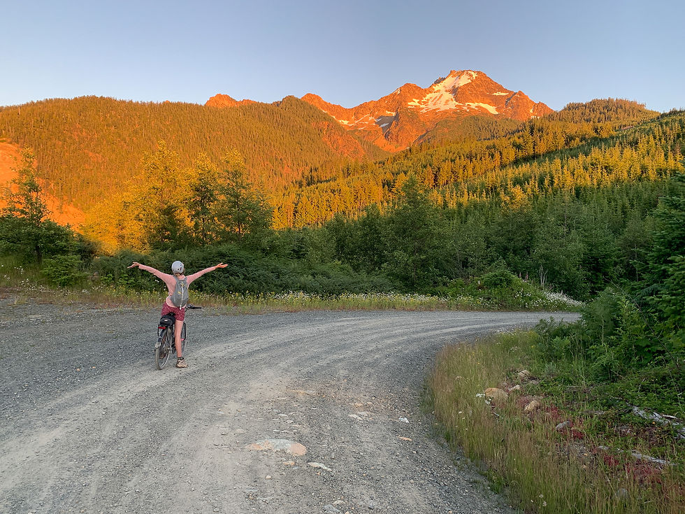 Looking back up at North Twin from the logging road