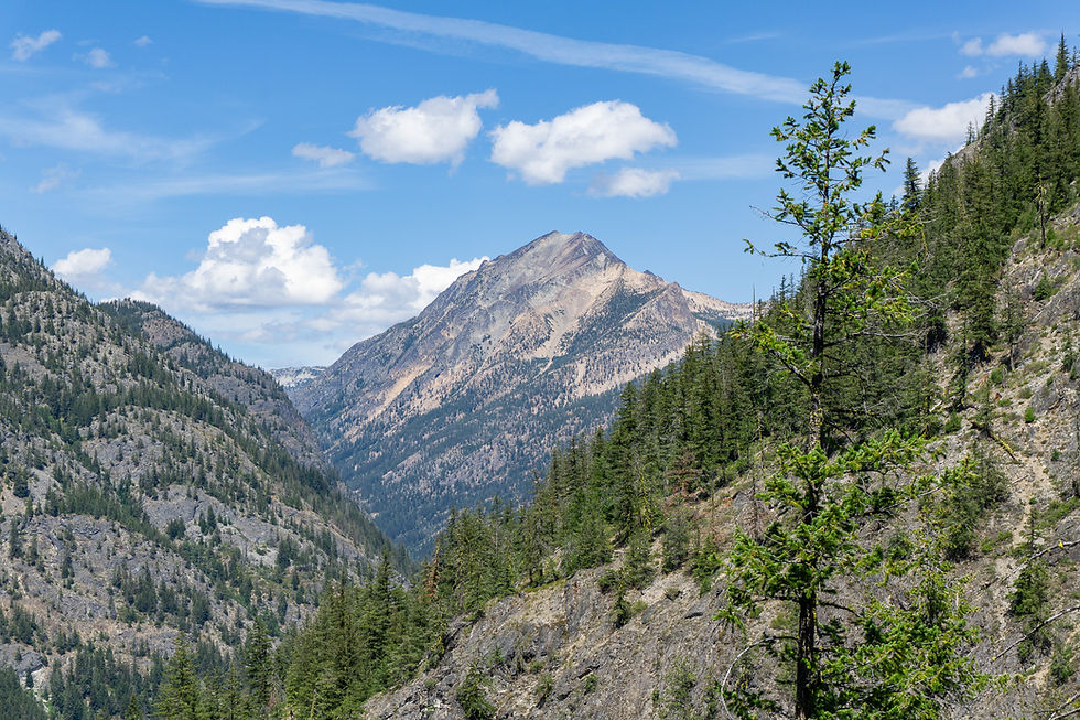 Mountain landscape with rocky peaks and green pine forests under a bright blue sky with fluffy clouds. Calm and serene atmosphere.