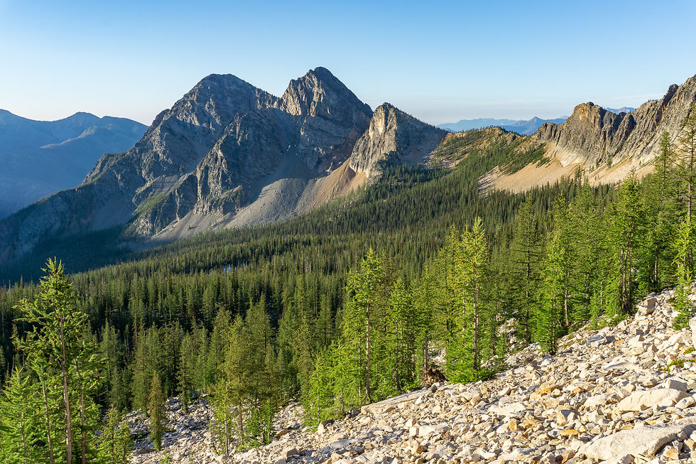 Mountain landscape with green forest, rocky foreground, and clear blue sky. Sunlit peaks create a serene and tranquil mood.