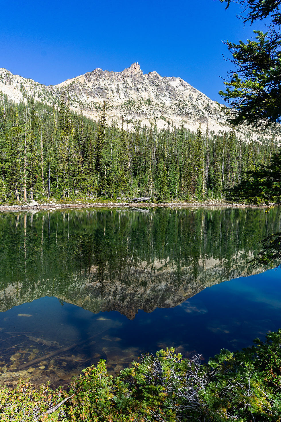 Mountain reflected in a clear lake, surrounded by dense green forest under a bright blue sky, conveying a serene and natural mood.