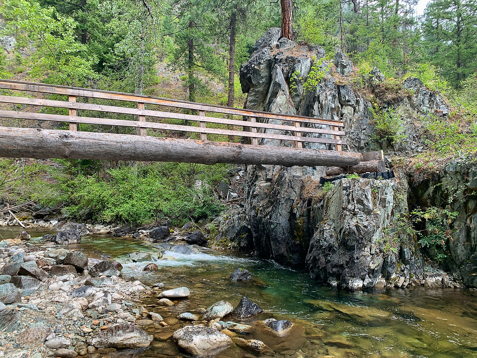 Wooden bridge spans a rocky stream in a forest. Lush greenery and tall pine trees surround the area, creating a serene, natural setting.