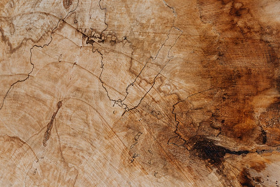 Wood_edited.jpg
