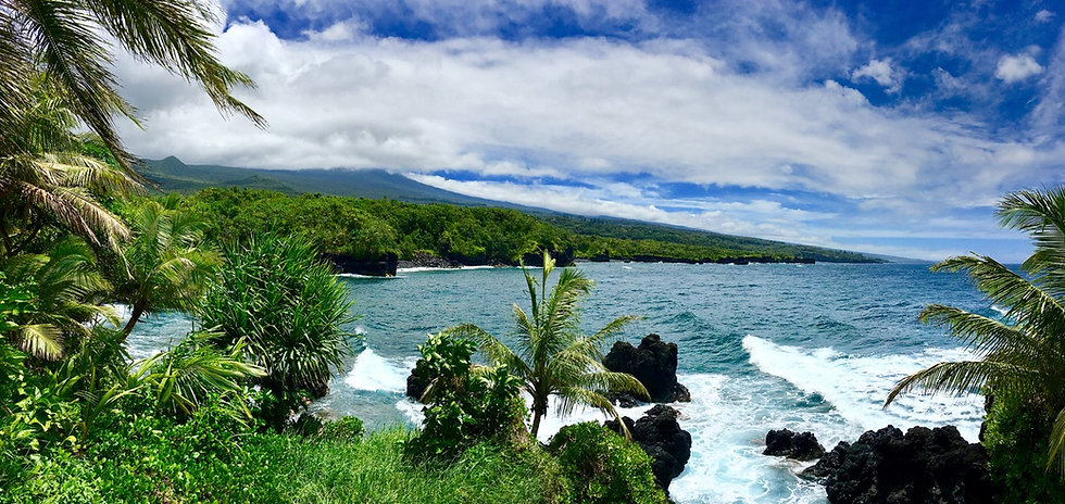 hana tours of maui.jpeg