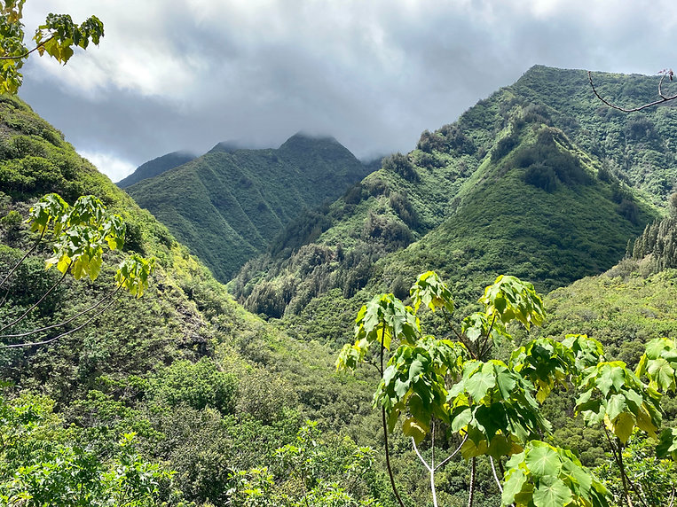 West Maui Mountains