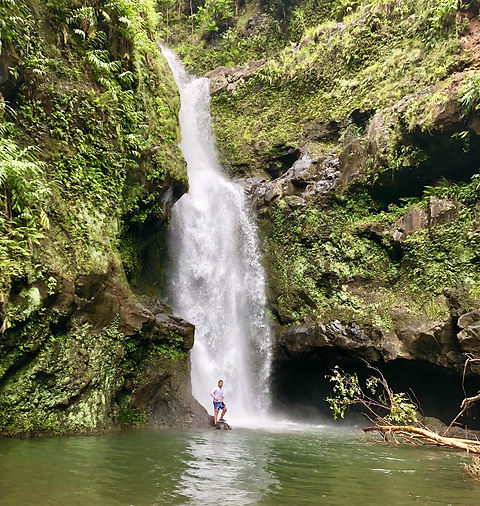 maui tours.jpeg