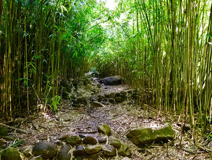 The Road Less Traveled