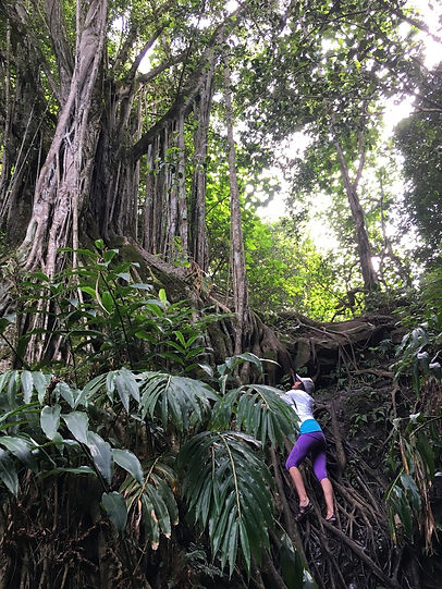 maui adventure tours.jpeg