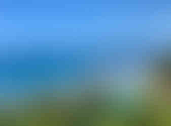 Scenic Kauai coastline: turquoise waters, palm trees