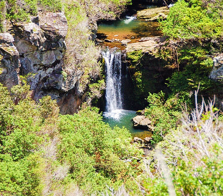 Birds Eye view of Makamaka'ole lower tier waterfall cascading into a freshwater pool, surrounded by lush vegetation