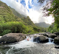 A local guide basking in Iao Valley's freshwater stream surrounded by lush green mountains
