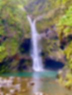 maui tours