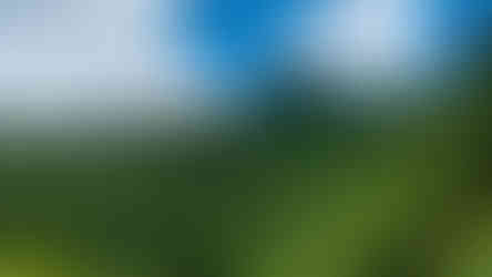 Lush green Kauai mountains under a blue sky