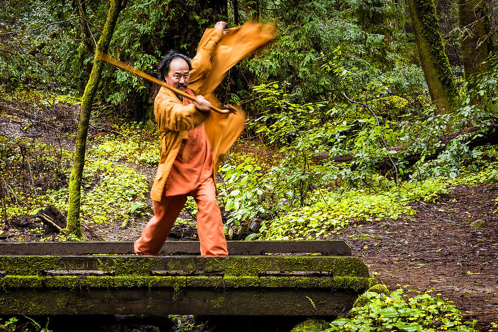 Web images_Inner_kungfu_screen.jpg