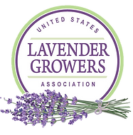United States Lavender Growers Association logo