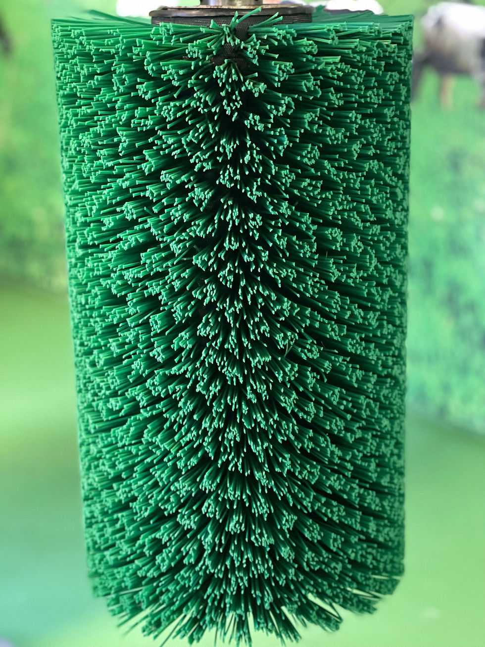 Thumbnail: Calf Brush