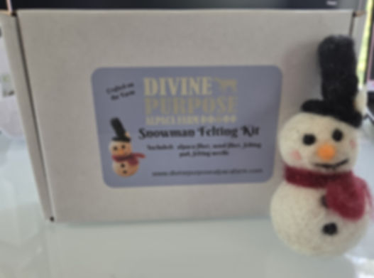 Snowman Felting Kit
