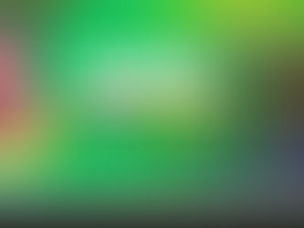 KZN Premier Nomusa Dube-Ncube will deliver the State of the Province Address on 24 of February 2023