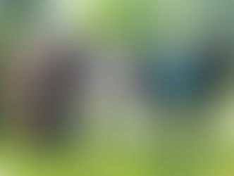 Early Childhood Development Organisations join hands to help KZN’s most vulnerable