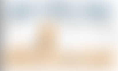 THE TURNING POINT BUDGET