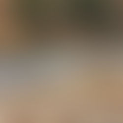 Sappi and WWF South Africa champion water management as key to bio-economy resilience